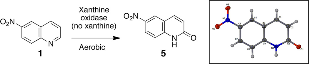 Scheme 4