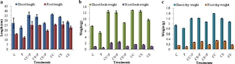 Fig. 6