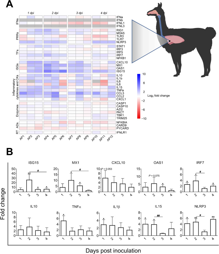 Fig 6