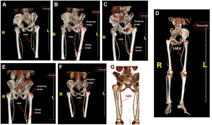 Fig 4