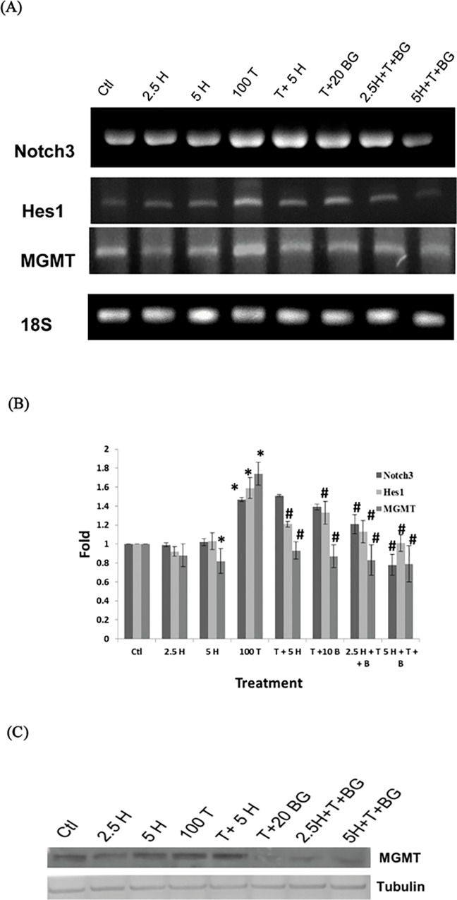 Fig 8