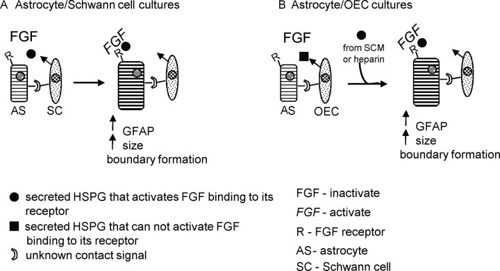 Figure 12.