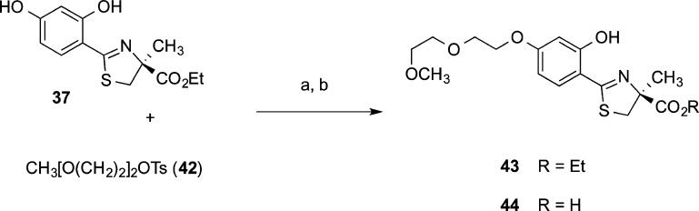 Scheme 3