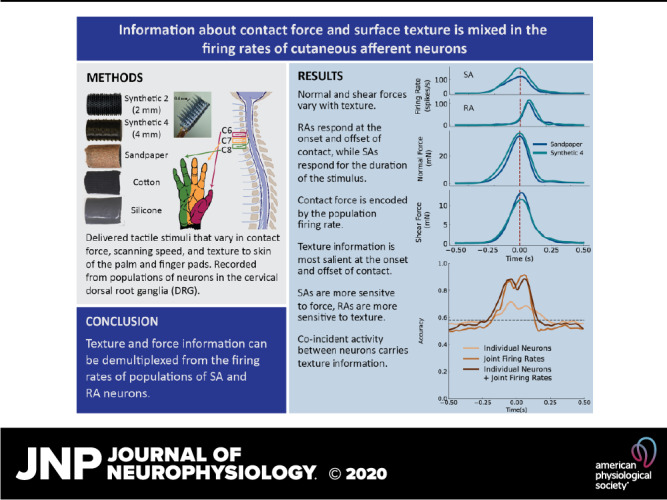 graphic file with name JN-00725-2019r01.jpg