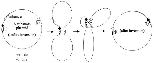 FIG. 1