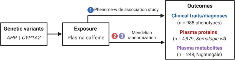 Fig. 1