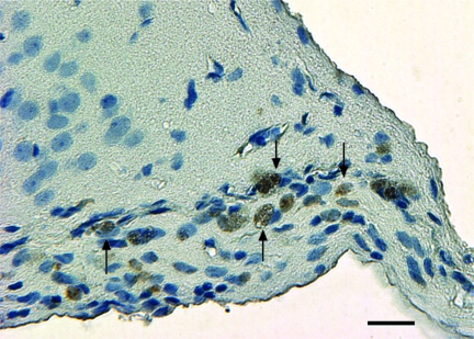 FIG. 6.