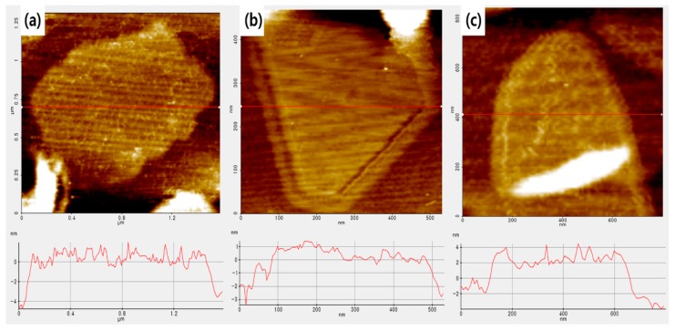 Figure 6