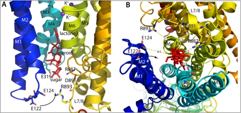 FIGURE 11.