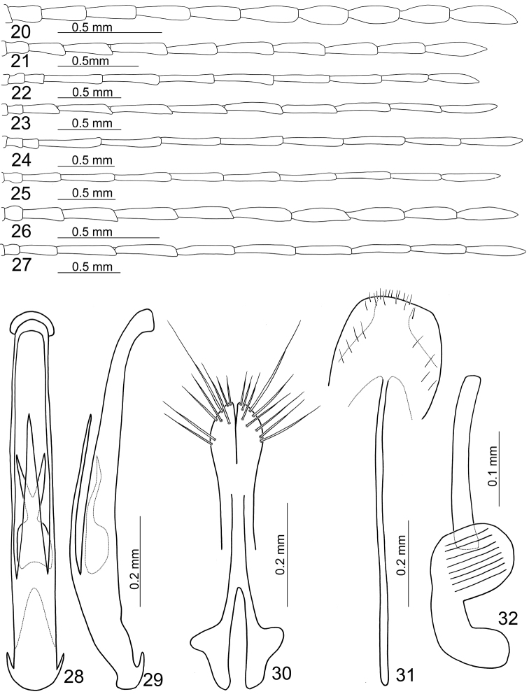 Figures 20–32.