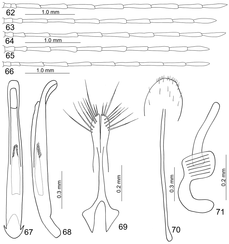 Figures 62–71.