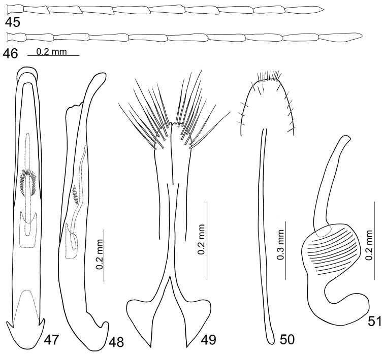 Figures 45–51.