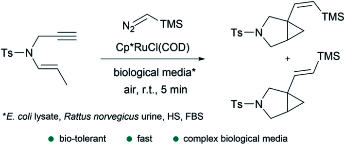 Fig. 14