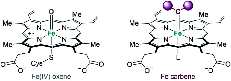 Fig. 17