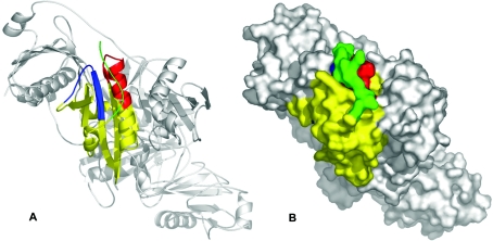 Figure 7