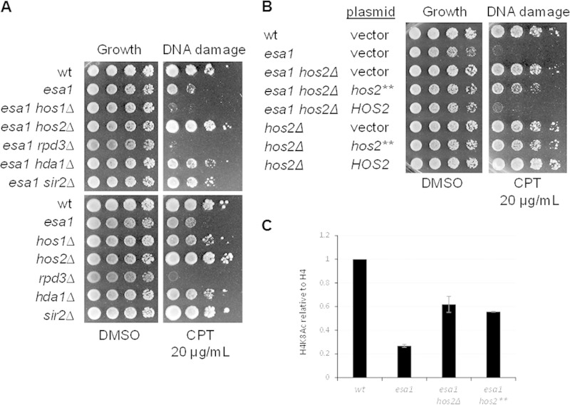 FIG 1