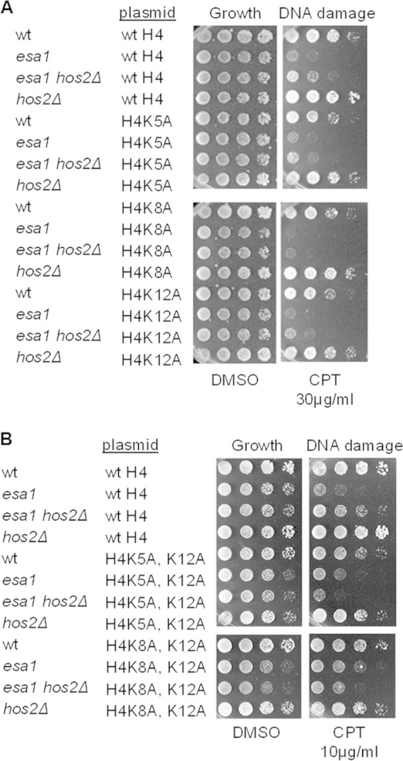 FIG 3