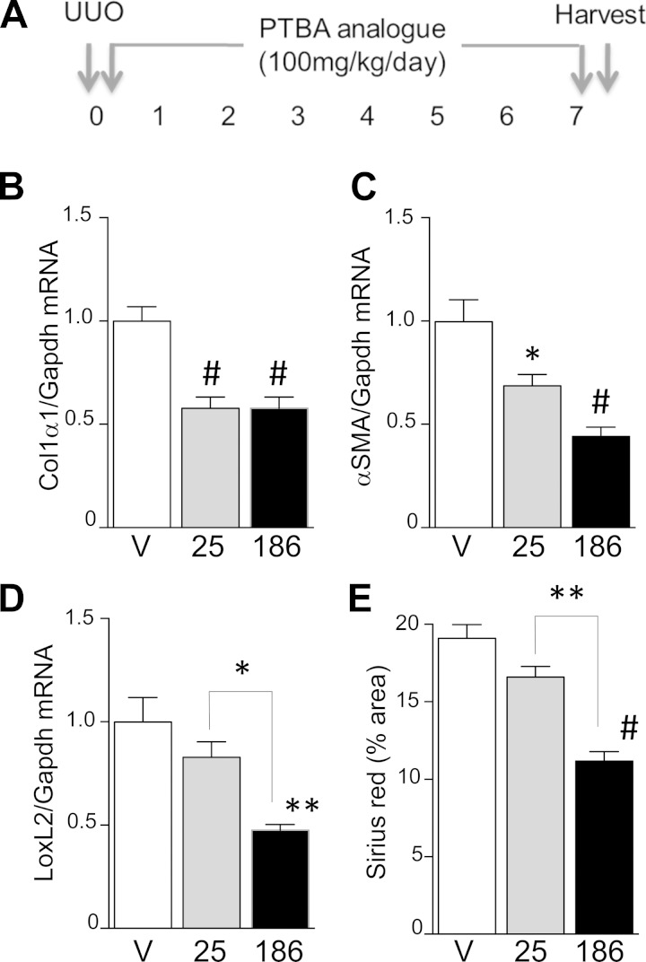 Fig. 9.