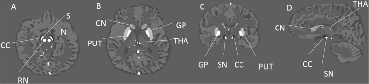 FIGURE 1