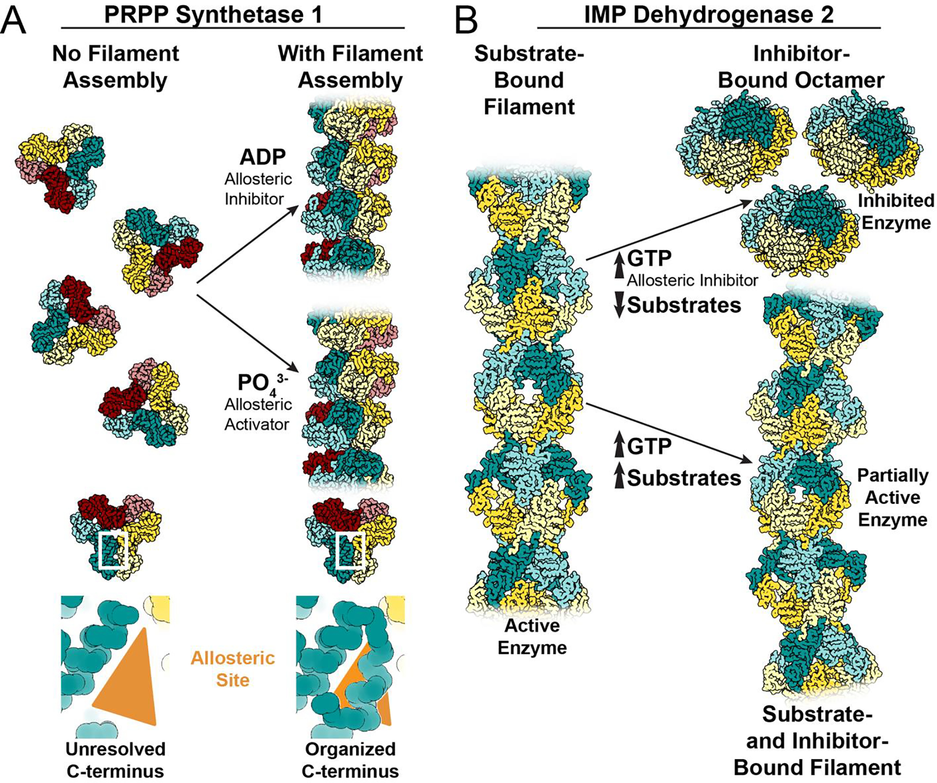 Figure 3: