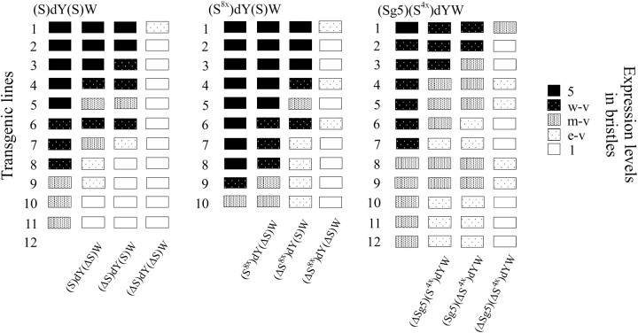 Figure 2.—