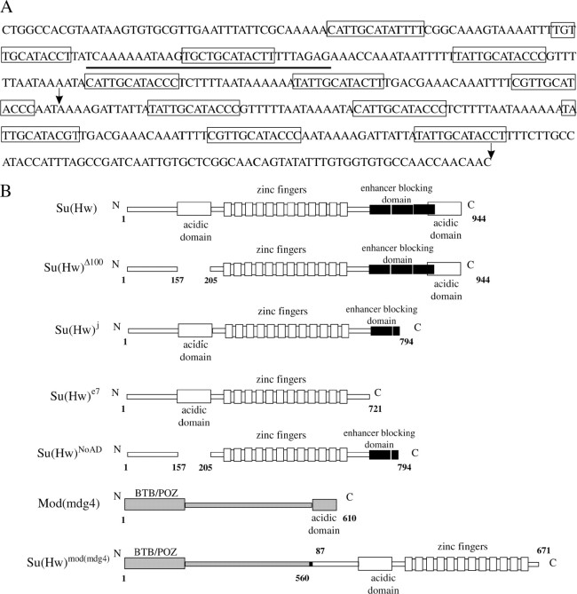 Figure 3.—