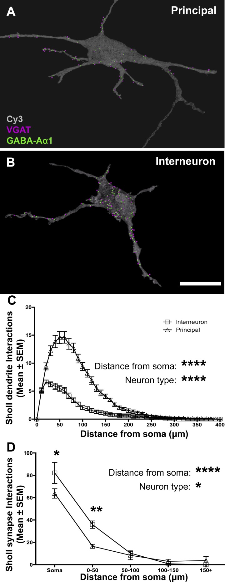 Fig. 8.