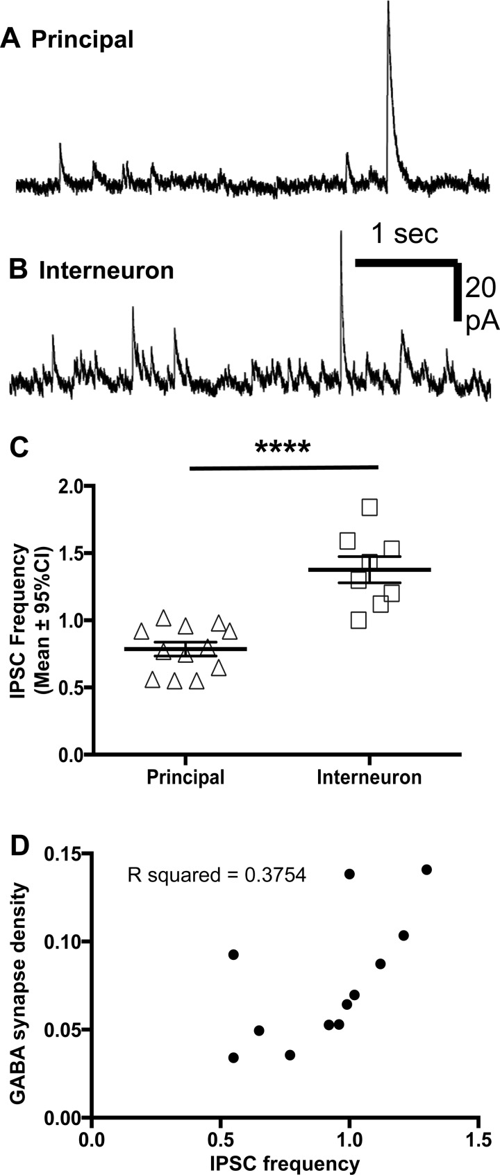 Fig. 9.