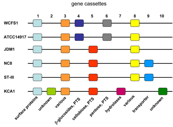 Figure 7