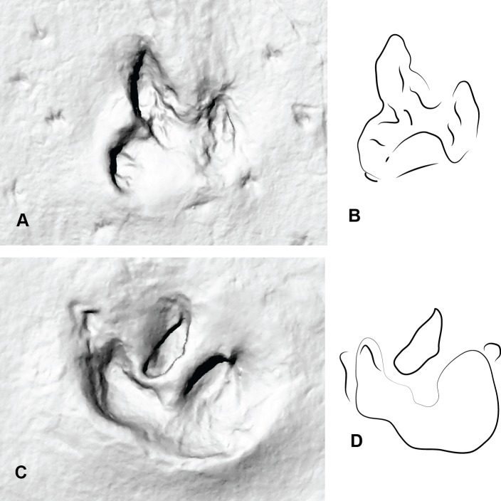 Figure 8