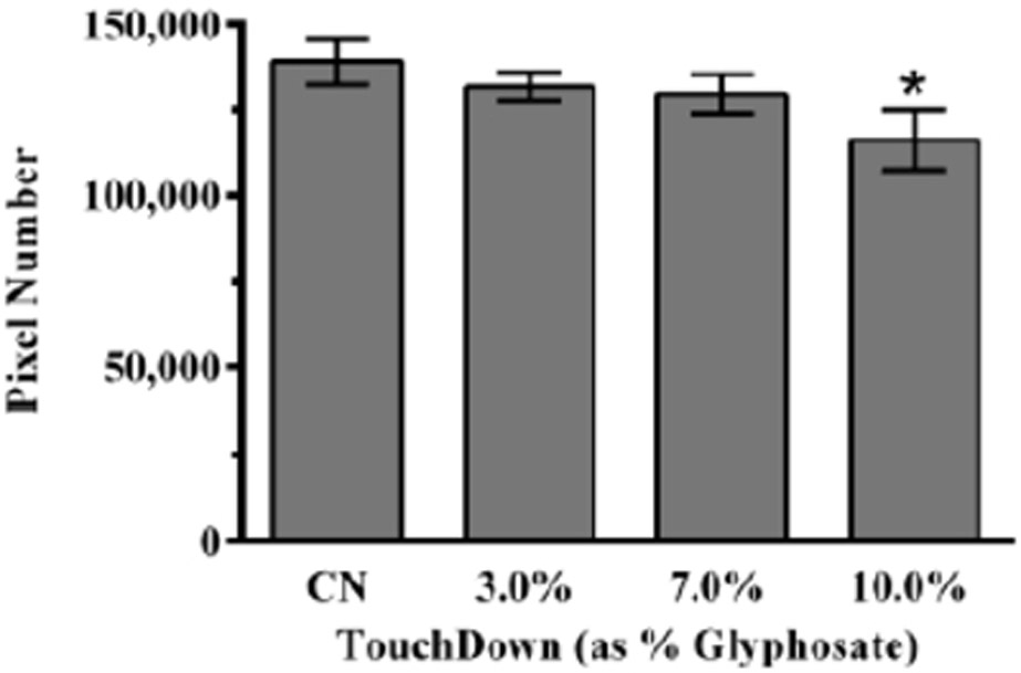 Figure 4: