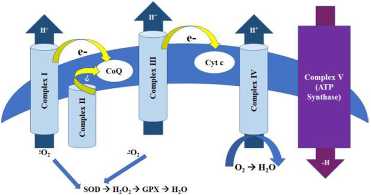 Figure 7: