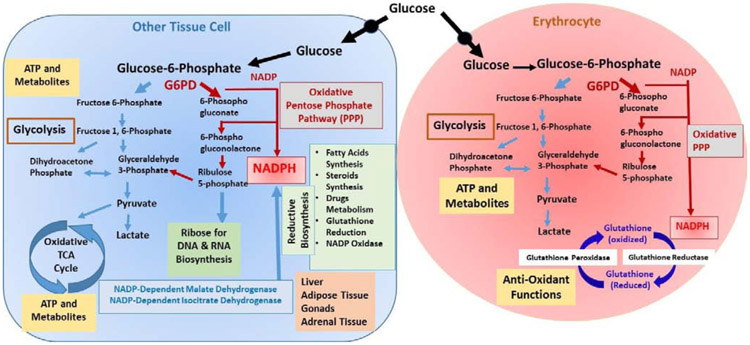 Figure 1-