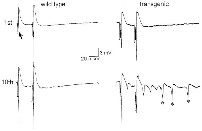 Fig. 5