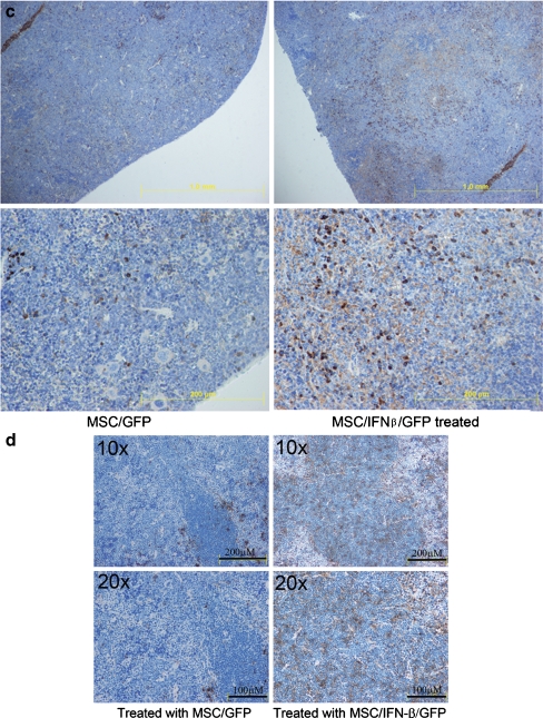 Fig. 6