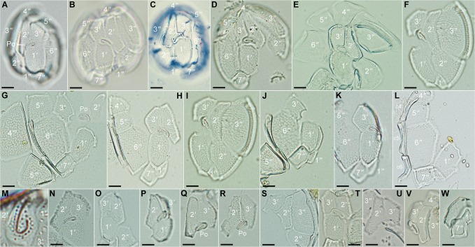 Fig 3