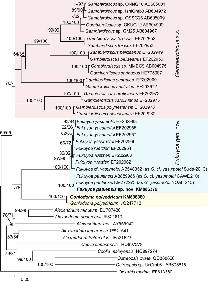 Fig 6