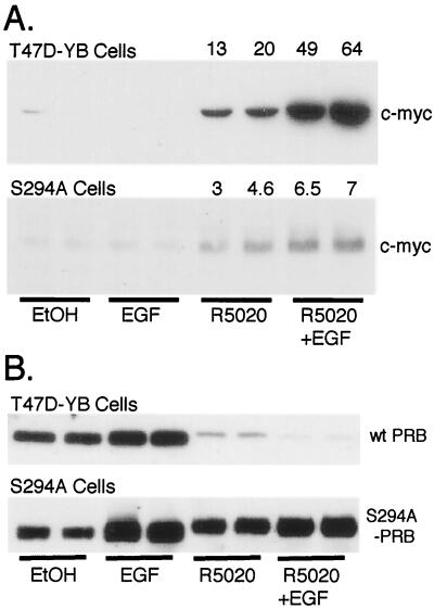 FIG. 8