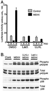 FIG. 6