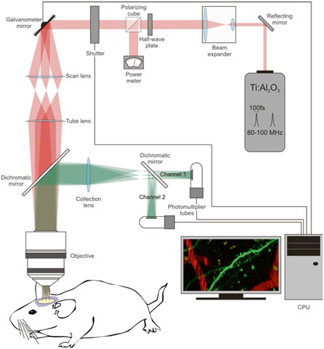 Fig. 2