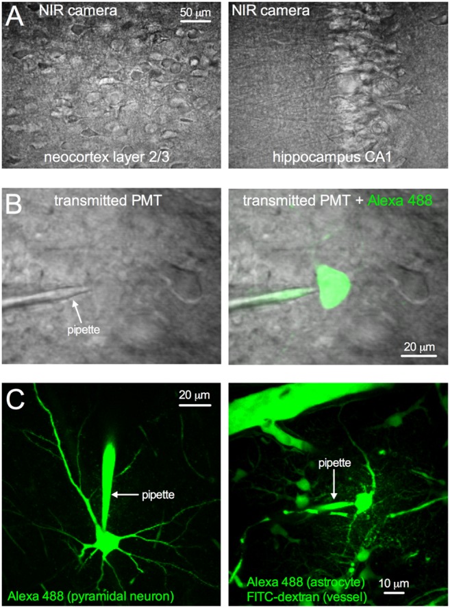 Figure 12