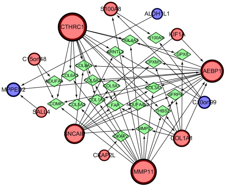 Figure 10.