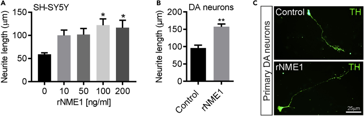 Figure 7