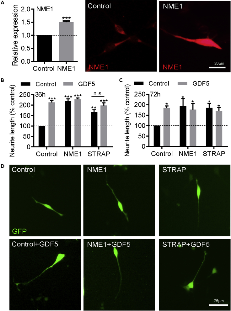 Figure 6