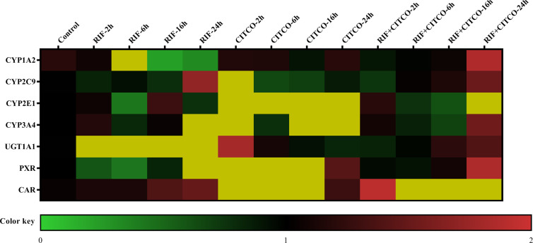 Figure 10