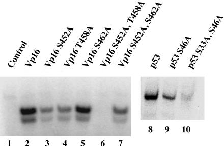 Fig. 5.