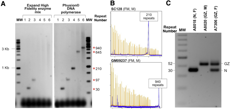 Figure 1