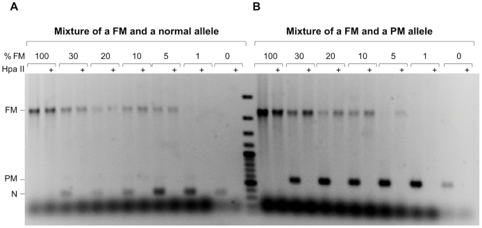 Supplemental Figure S1