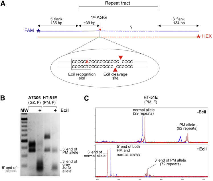 Figure 5