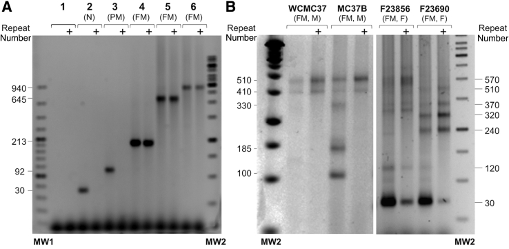 Figure 2